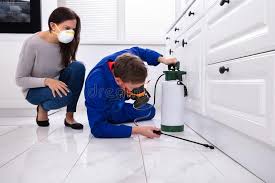 Real Estate Pest Inspections in Pine Castle, FL